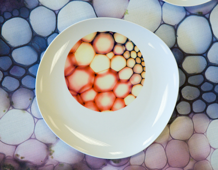 Plates2